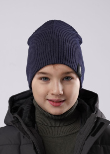 Шапка Clever 533720ха-2