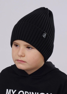 Шапка Clever 523422ха-3