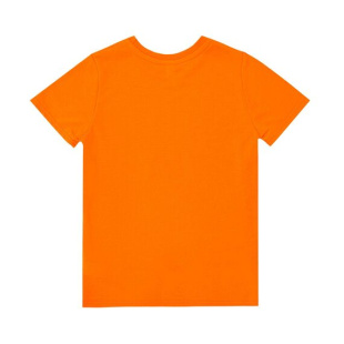 Футболка Bossa Nova 267В22-163