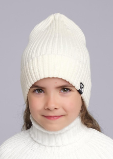 Шапка Clever 433839вн-1